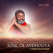 Soul Of Avdhoota